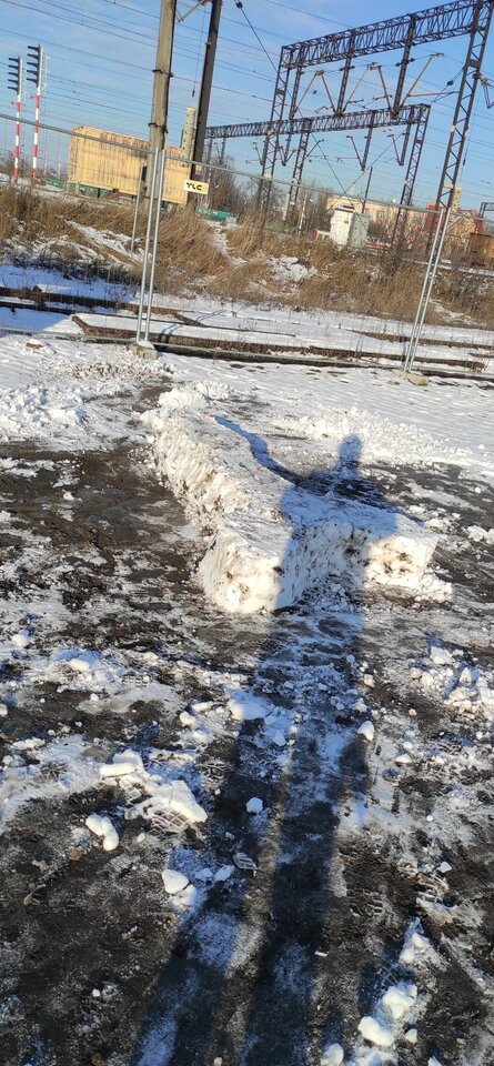 PENIS.jpg - Zawrat36