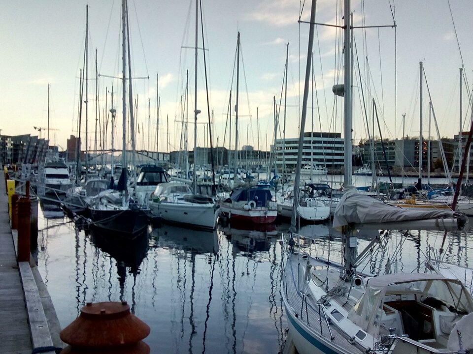 IMG_20181011_174141.jpg - ciekawyja