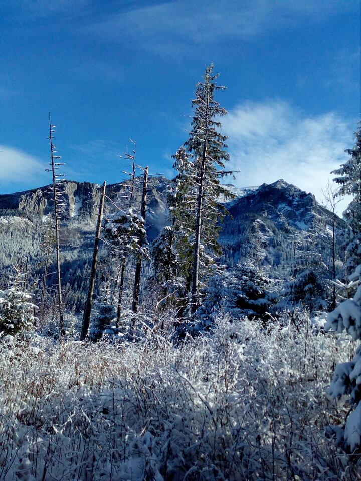 IMG_20221120_114221.jpg - ZadawalaczZon