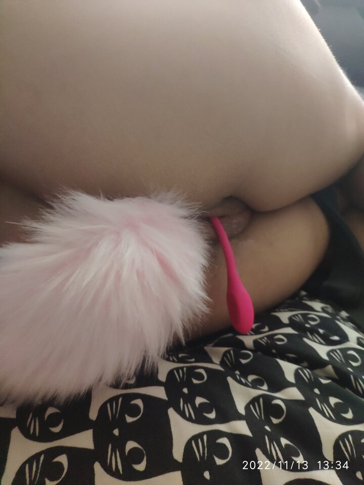 IMG_20221113_133500.jpg - eikgda