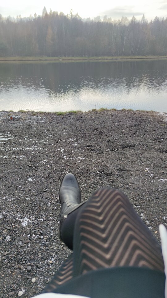 IMG_20221121_115256.jpg - promyczeka