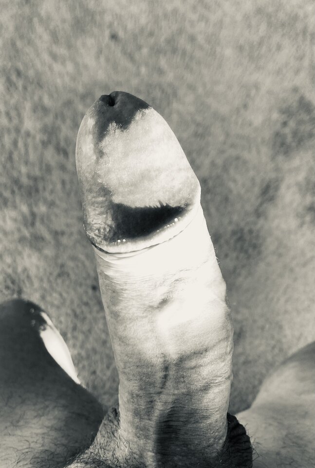 966D377C-022F-466A-9D35-8FDBBCEF62E0.jpeg - Neptunos