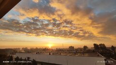 IMG_20221027_075225.jpg