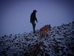 IMG_20221119_181459_511.jpg