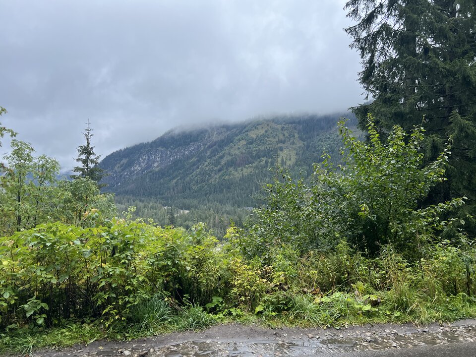 FBB5CFBE-4C3E-49C5-A2D2-BA9C8B8EB01F.jpeg - parka7744