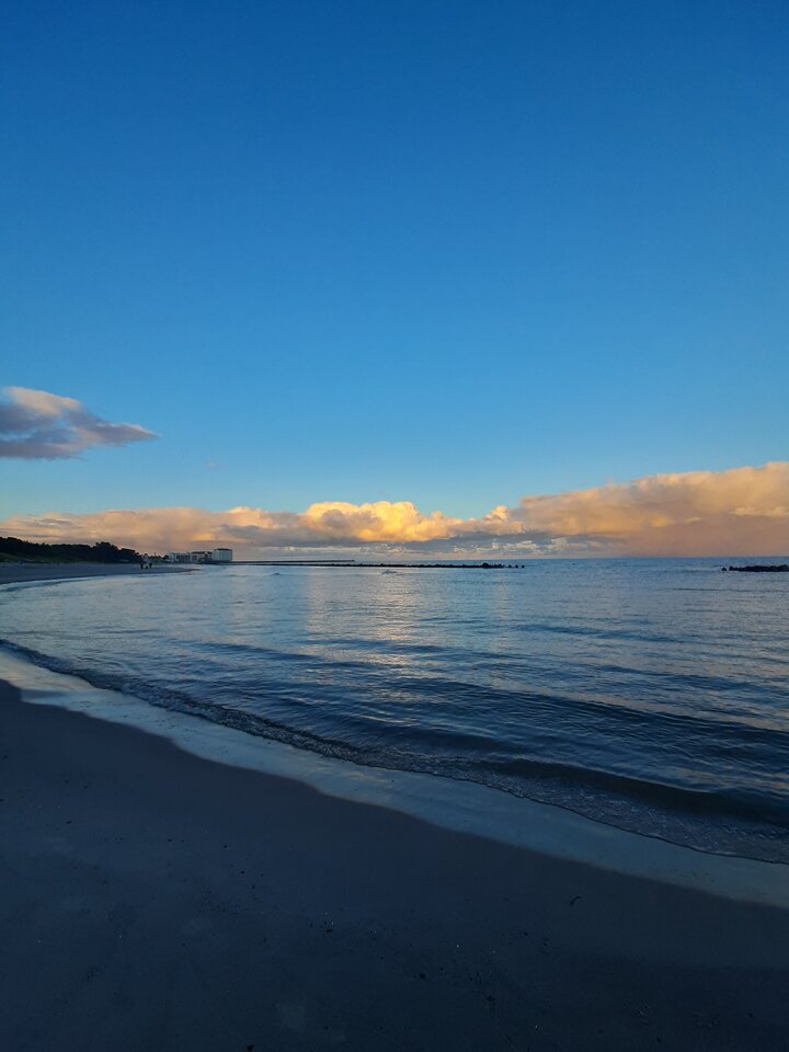 20220922_070136.jpg - XTOMx