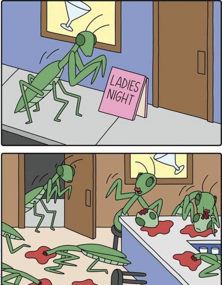 Screenshot_20221122-084422_Facebook.jpg - Spelniajacyfantazje123