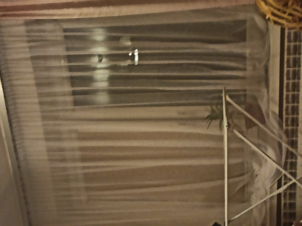 IMG_20221121_181457.jpg - skierniewiak60