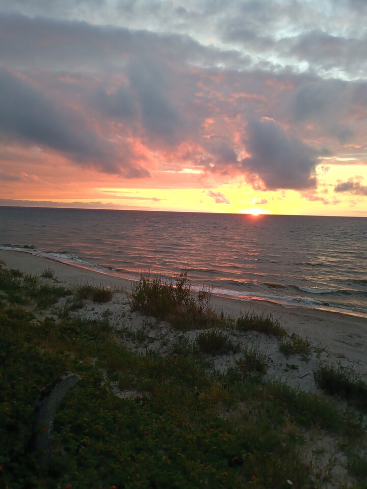 IMG_20220801_205150_6.jpg - 1973mm