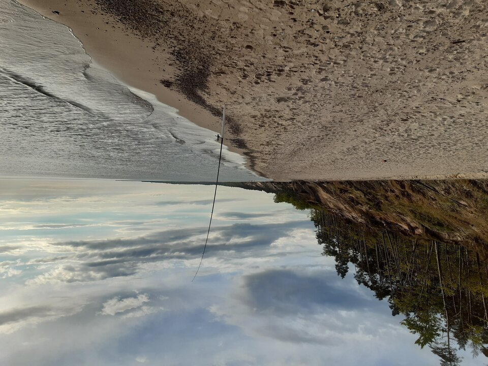 20210517_185409.jpg - 1973mm