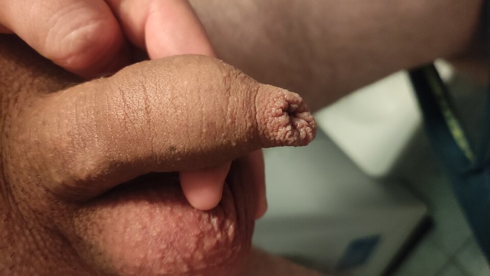 IMG_20221123_201124.jpg - Kriss7788