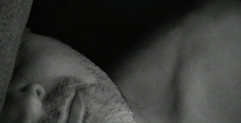 Jeszcze śnie... 😎😘 - BlackjackBack