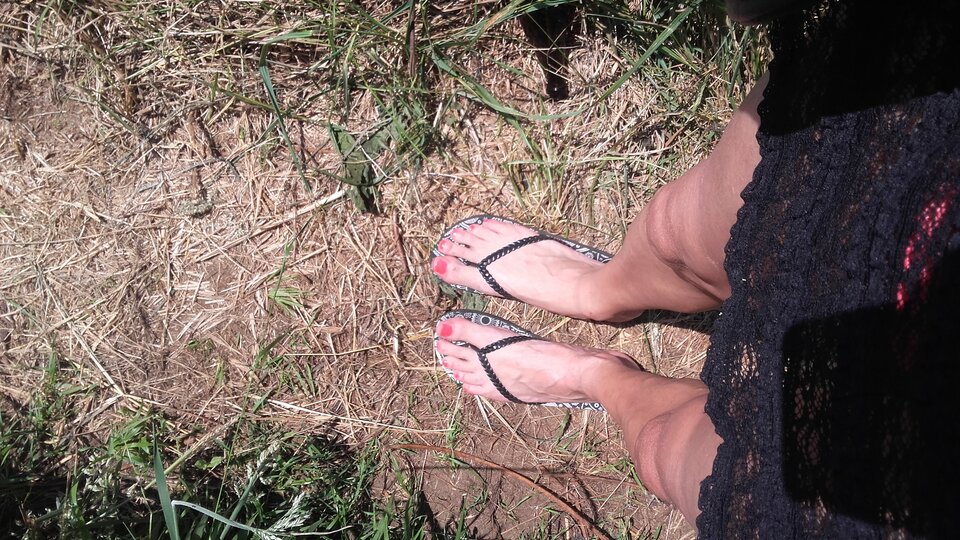 20210618_124622.jpg - monis111011