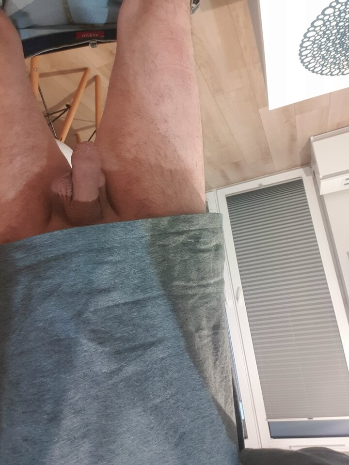 1669385965267410260509238899053.jpg - animaxo