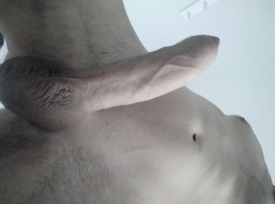 IMG_20221126_143931.jpg - nowiko