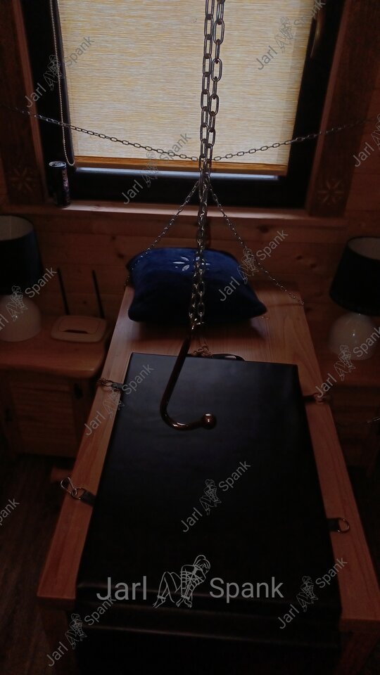 Stanowisko do podwieszania .jpg - JarlSpank