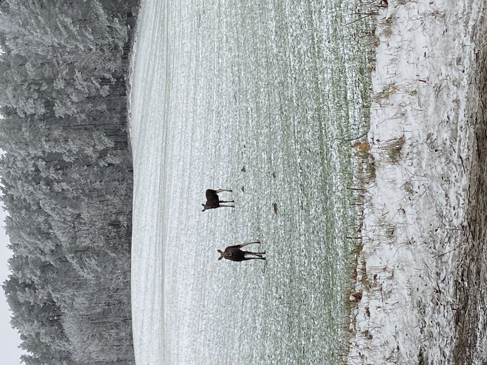 E6ED6A78-EF52-4C11-9536-D892D169DD35.jpeg - Sender42