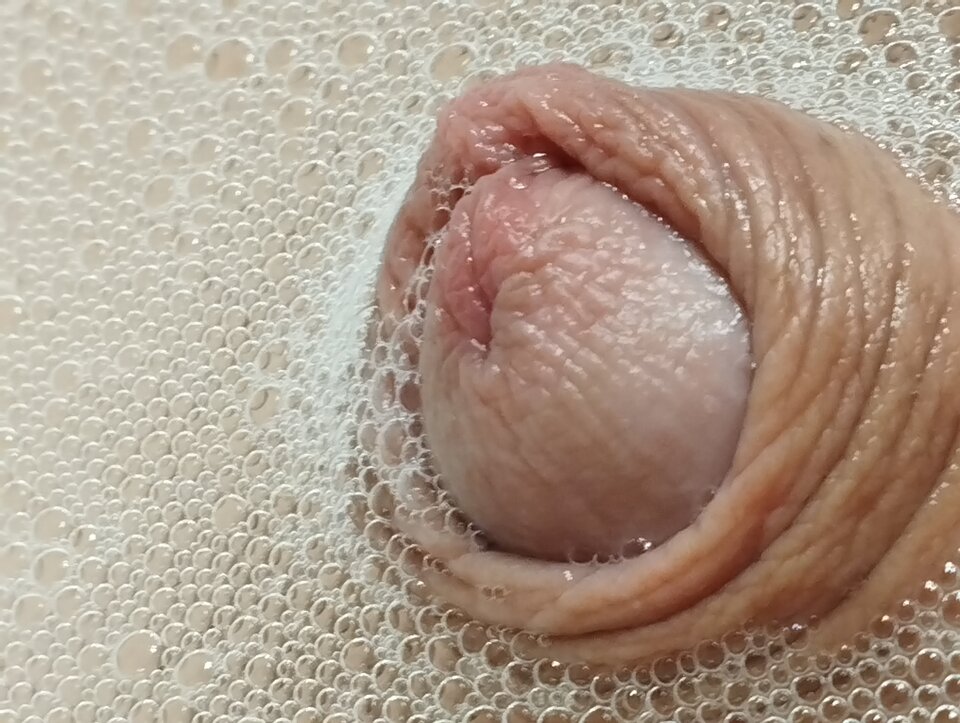 16695370068525753071933150694117.jpg - matuzalem000