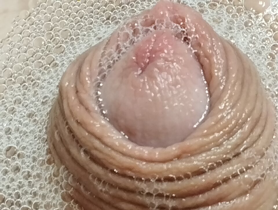 16695371002824778048505151643867.jpg - matuzalem000