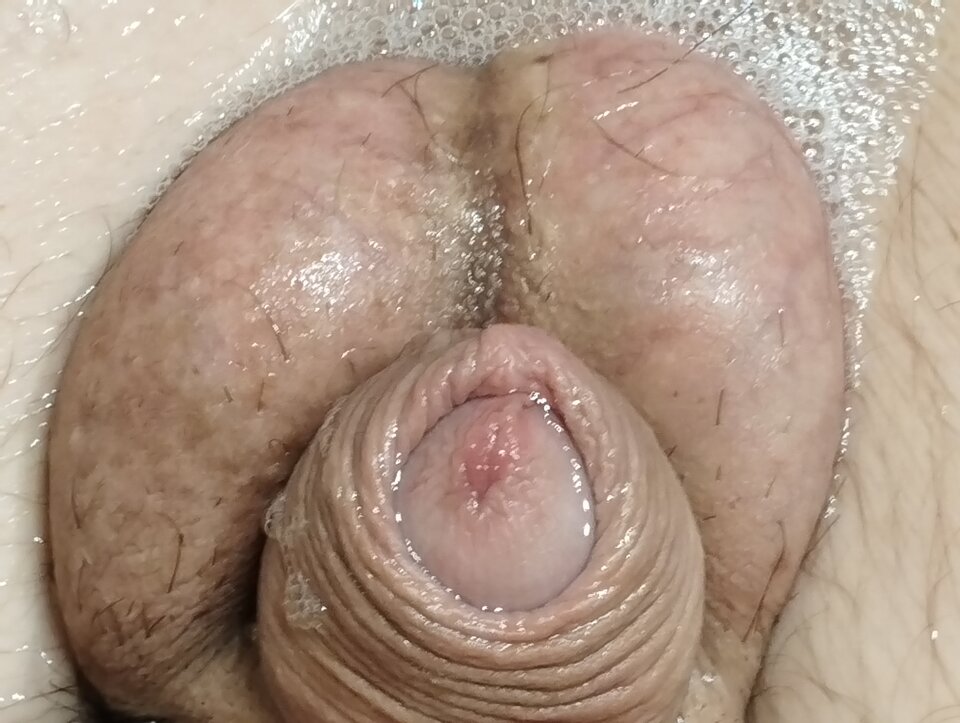 16695377290813886993834245235259.jpg - matuzalem000