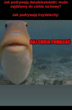 Coś w ten deseń... 😂😁😎