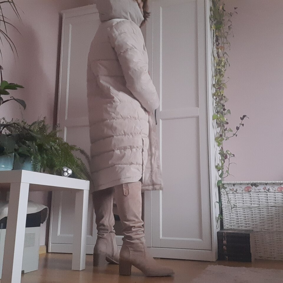 16696192699935356427750838100324.jpg - Palciusia