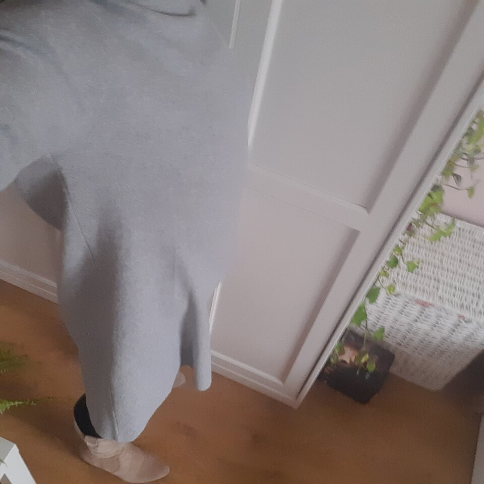 16696195834317638443268269808966.jpg - Palciusia