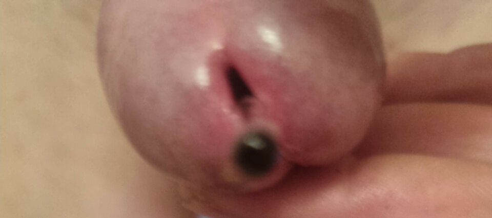 20221128_174012.jpg - Arture1234