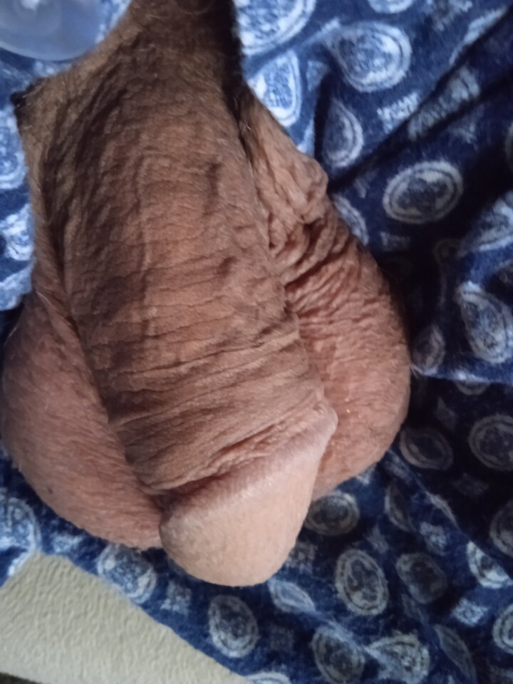 IMG_20221129_131902.jpg - 19Grzegorz55