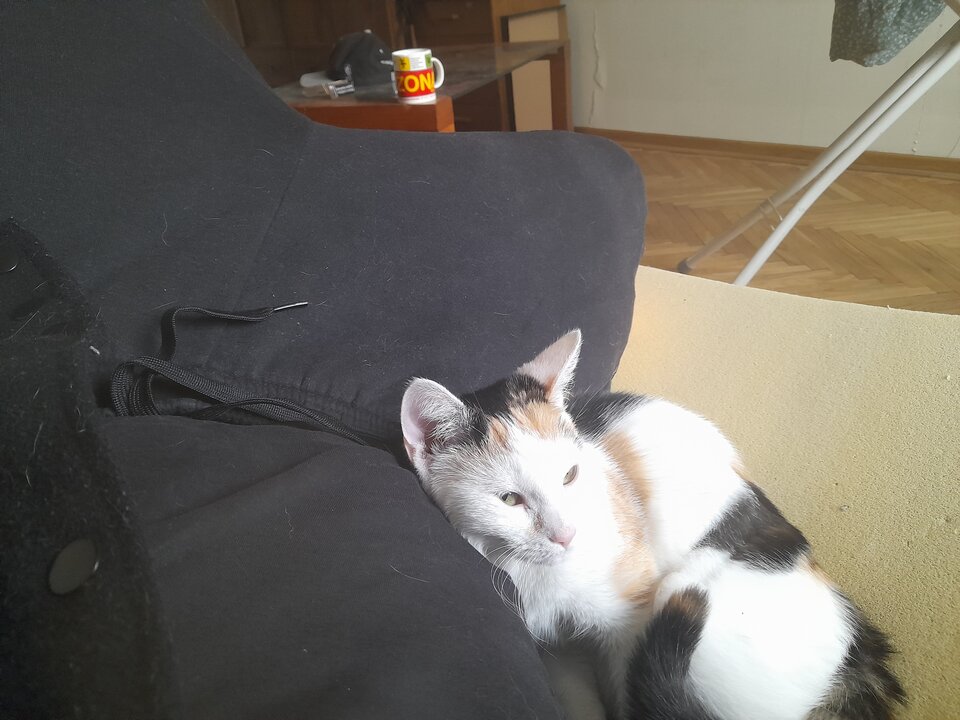 20220330_172316.jpg - Lodz_on_sub