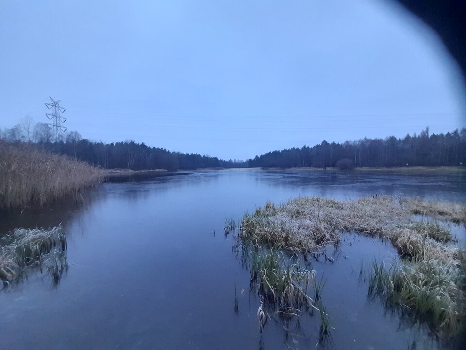 20221130_153258.jpg - Ambrozja2