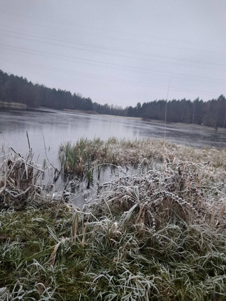 20221130_153447.jpg - Ambrozja2