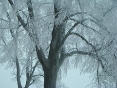 Słupsk - 15-16.01.2010 - 016.JPG