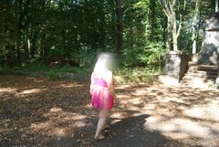 Miło jest pospacerować wśród zieleni