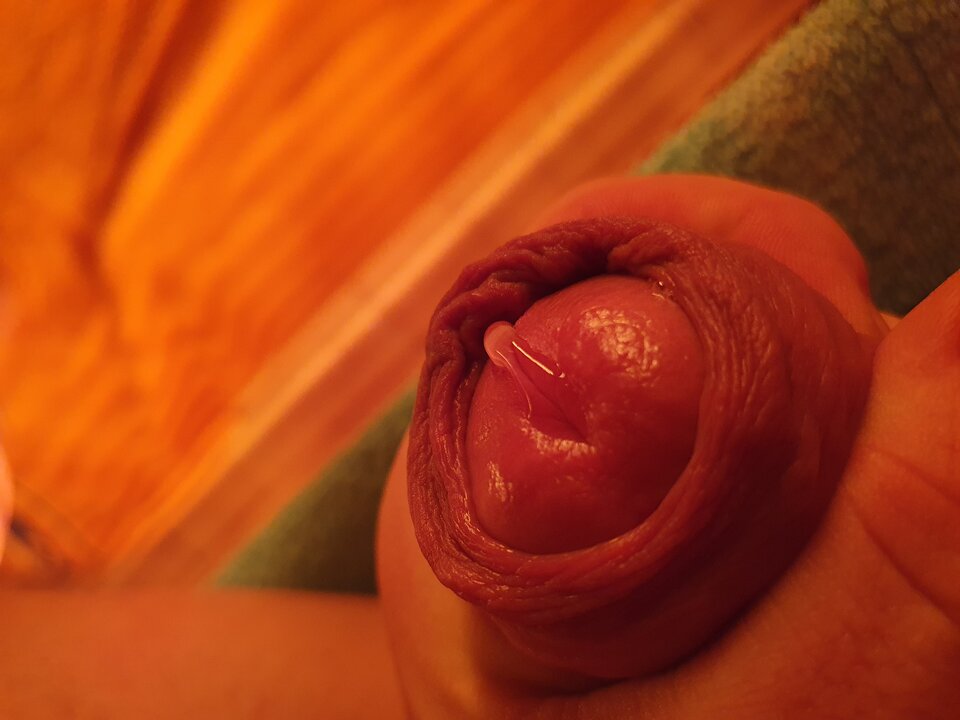 20221201_234858.jpg - wast79