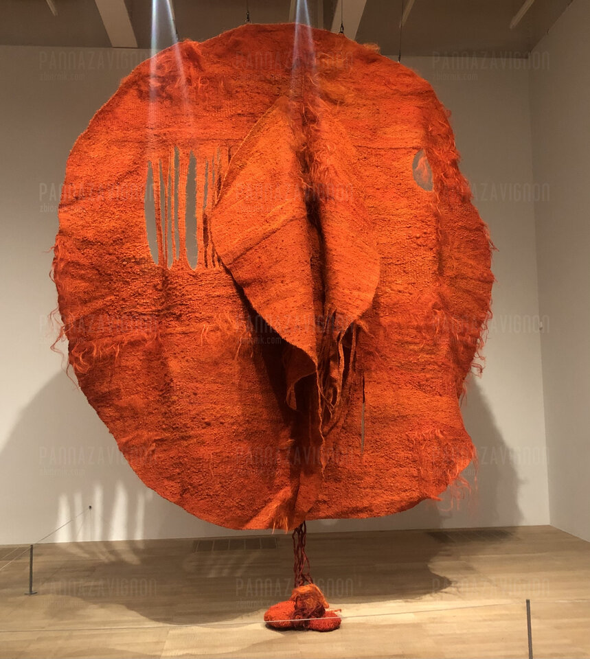 7E0E36CF-3947-4668-859B-9184BAECED17.jpeg - pannazavignon