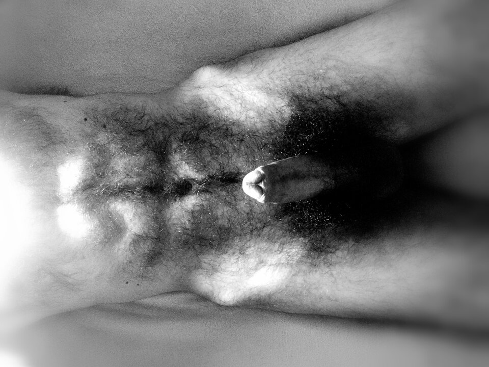 IMG_20221202_105030.jpg - Mozeteraz91