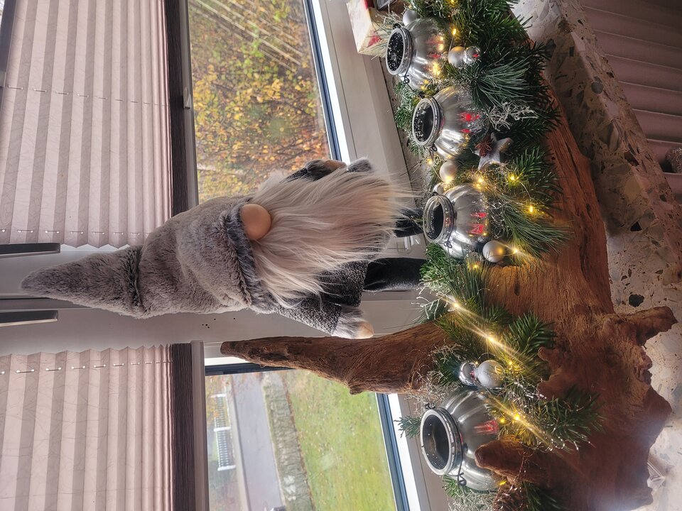 20221126_084835.jpg - wolnaona_de