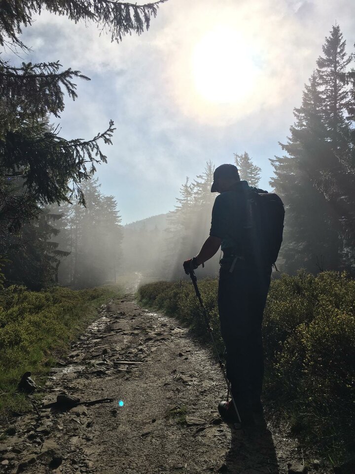 IMG-20200607-WA0095.jpg - dziki_rafiki