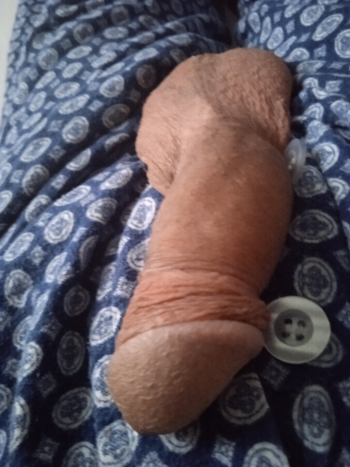 IMG_20221203_082200.jpg - 19Grzegorz55