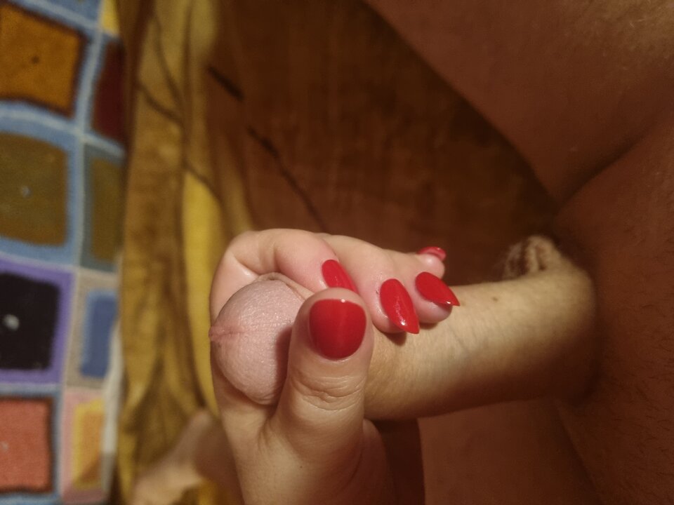 20221203_221147.jpg - borowiki