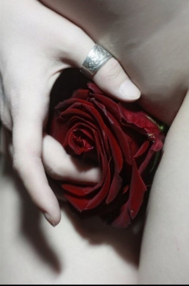 IMGW010838402.jpg - Covidy