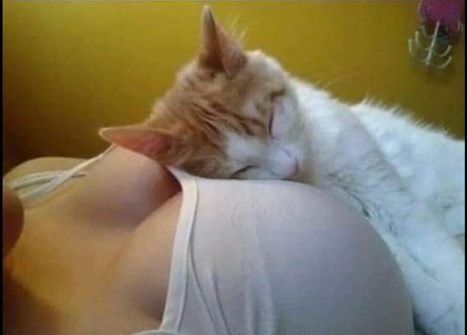 IMG_20221204_074039.jpg - d31_r33