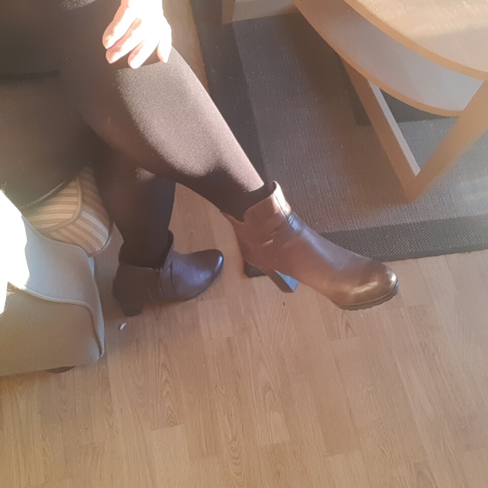 1670144032439728611258691453448.jpg - Palciusia