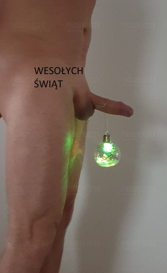 20221204_102015.jpg - Figowylistek