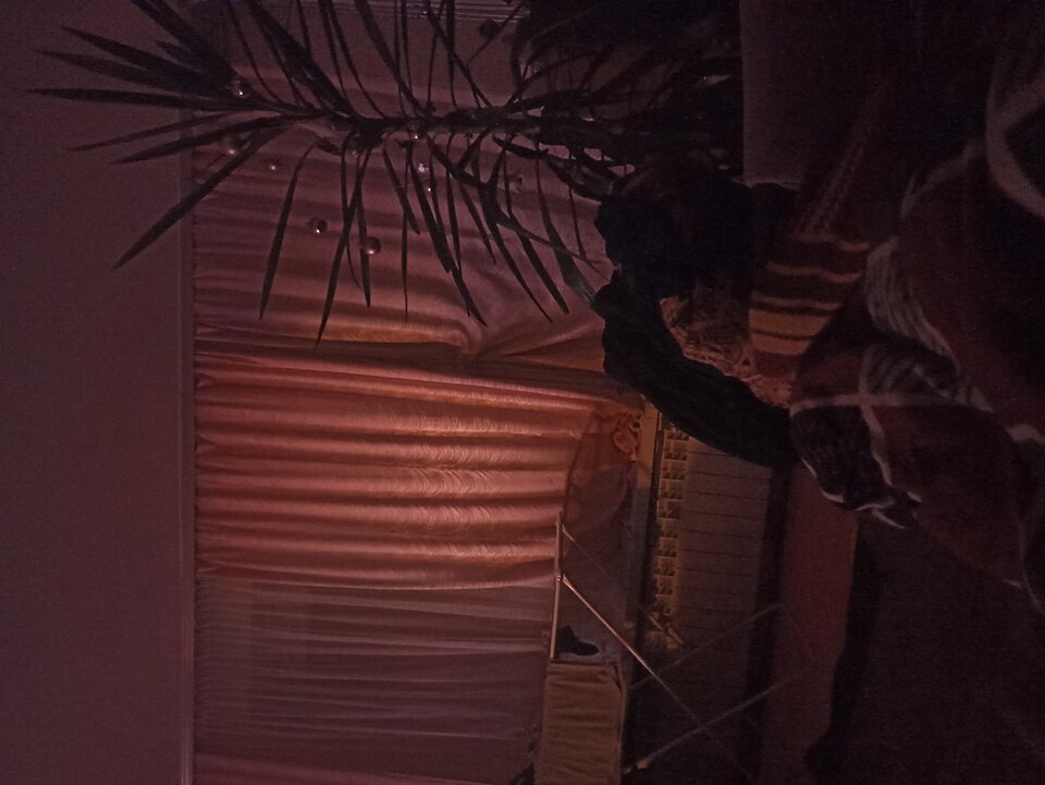 IMG_20221201_000958.jpg - skierniewiak60