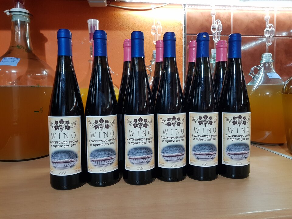 20221204_142349.jpg - MiMoPara