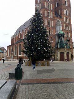 IMG_20221202_093217_887~2.jpg