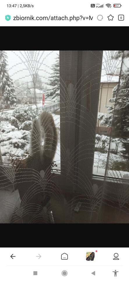 Screenshot_2022-12-04-13-47-17-067_com.mi.globalbrowser.jpg - skierniewiak60