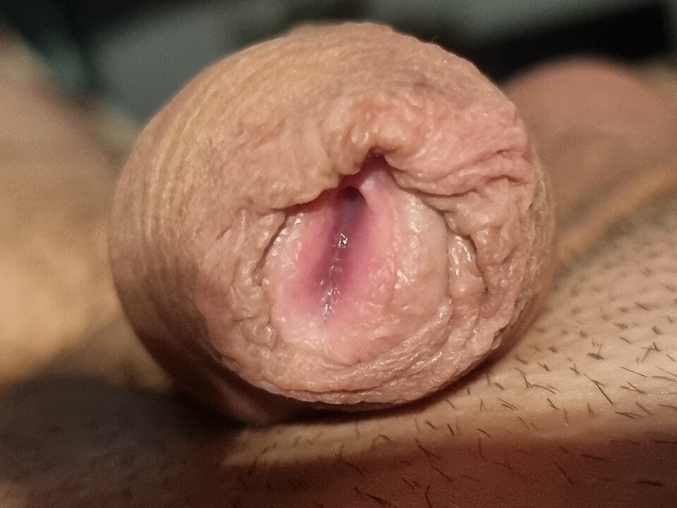 16702671504662988976312544603719.jpg - Cropcraked1